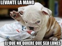 /album/fotogaleria/descarga-2-jpg/